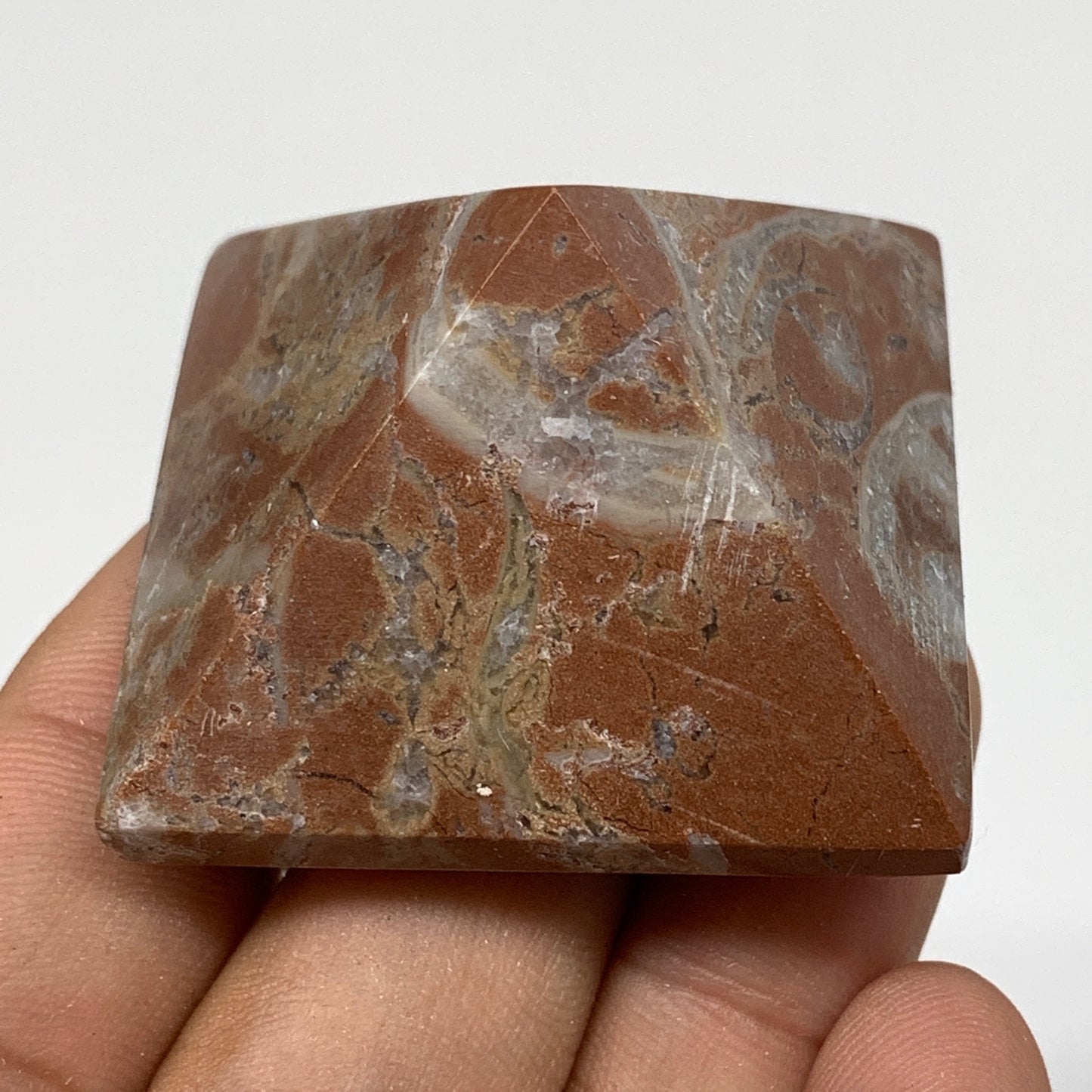 53.7g,1.1"x1.6" Natural Untreated Red Shell Fossils Pyramid Reiki Energy, F1190