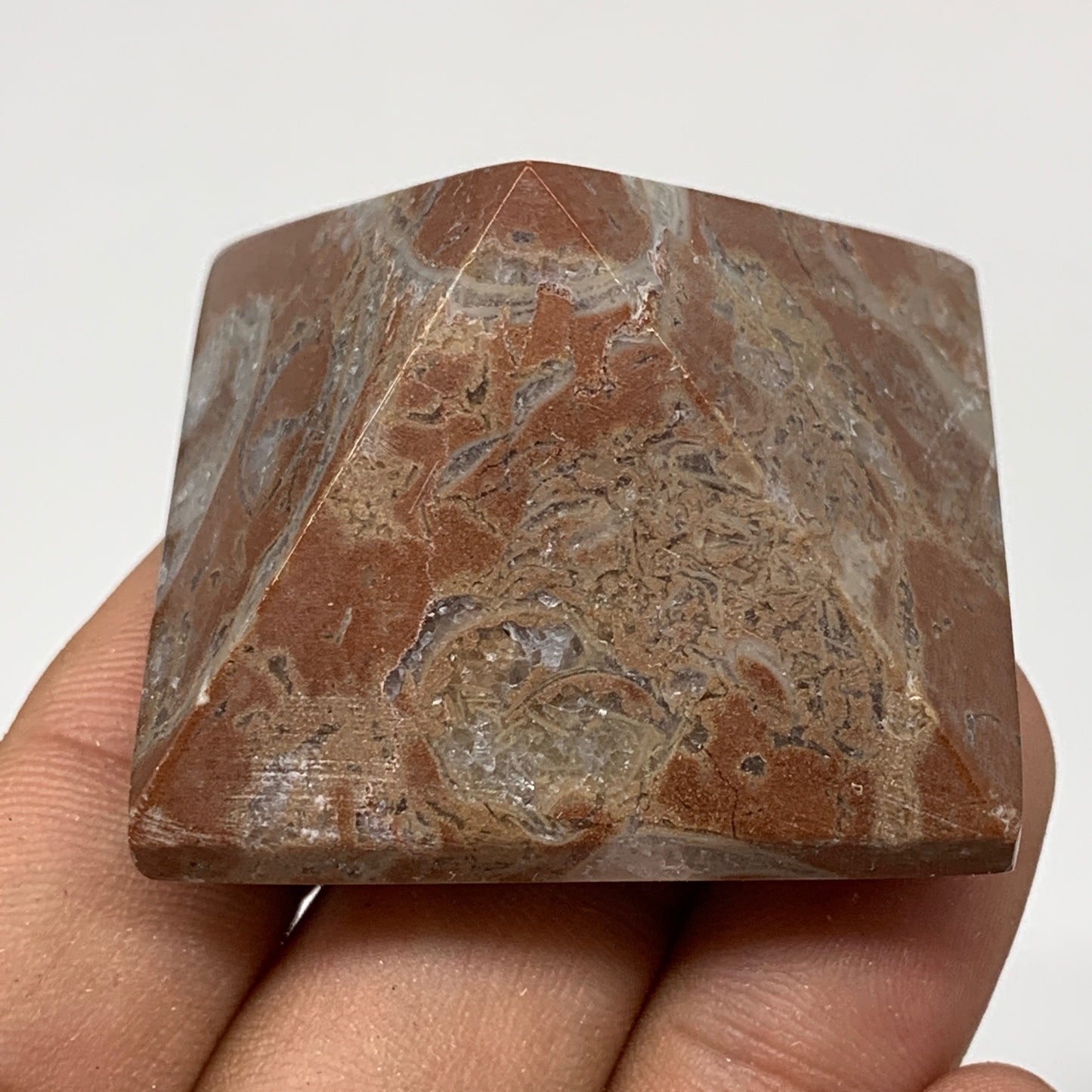 53.7g,1.1"x1.6" Natural Untreated Red Shell Fossils Pyramid Reiki Energy, F1190