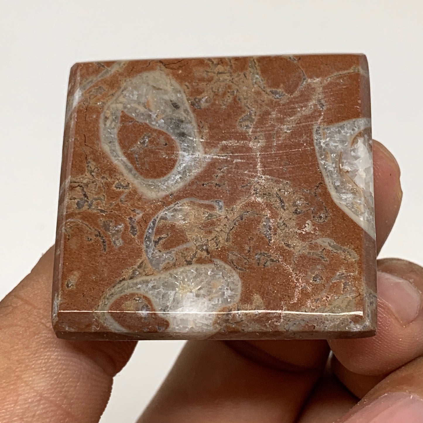 53.7g,1.1"x1.6" Natural Untreated Red Shell Fossils Pyramid Reiki Energy, F1190