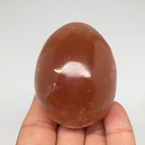 177.5g, 2.3"x1.8" Honey Color Onyx Polished Small Eggs from Morocco, MF3403