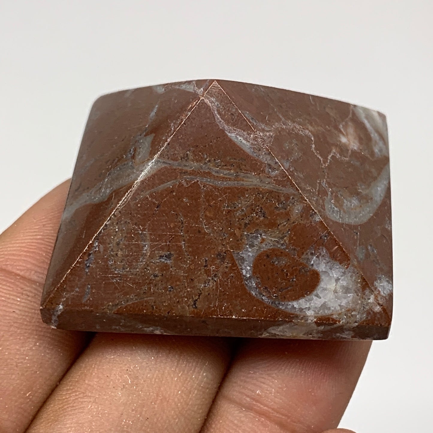 45.2g,1"x1.6" Natural Untreated Red Shell Fossils Pyramid Reiki Energy, F1192