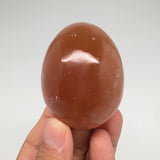 177.5g, 2.3"x1.8" Honey Color Onyx Polished Small Eggs from Morocco, MF3403