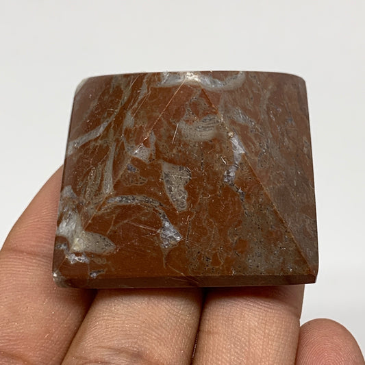 54.2g,1.1"x1.6" Natural Untreated Red Shell Fossils Pyramid Reiki Energy, F1194