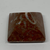 54.2g,1.1"x1.6" Natural Untreated Red Shell Fossils Pyramid Reiki Energy, F1194