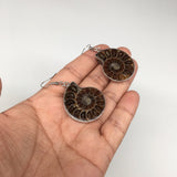 100.5cts,2.1"x 1.1"X 8mm, Natural Ammonite Earring Silver Plated,Handmade,BE360