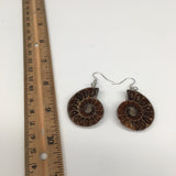 100.5cts,2.1"x 1.1"X 8mm, Natural Ammonite Earring Silver Plated,Handmade,BE360