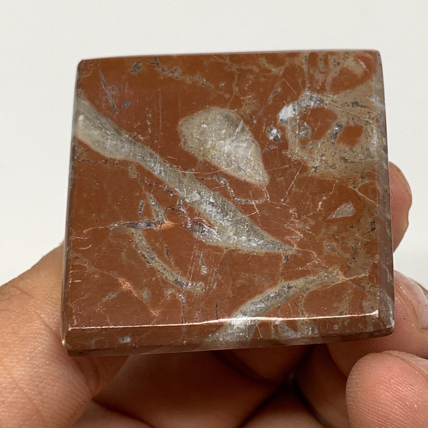 56.5g,1.2"x1.6" Natural Untreated Red Shell Fossils Pyramid Reiki Energy, F1198