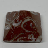60g,1.1"x1.6" Natural Untreated Red Shell Fossils Pyramid Reiki Energy, F1200
