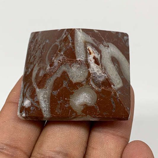 57.7g,1.1"x1.6" Natural Untreated Red Shell Fossils Pyramid Reiki Energy, F1203