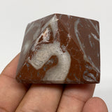 57.7g,1.1"x1.6" Natural Untreated Red Shell Fossils Pyramid Reiki Energy, F1203