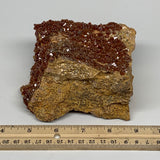 952g, 4.4"x3.2"x3", Vanadinite Small Crystals Cluster Mineral Specimens, B11133