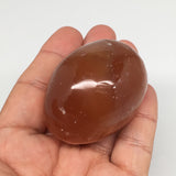 117.2g, 2"x1.6" Honey Color Onyx Polished Small Eggs from Morocco, MF3393