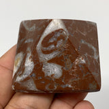 61.7g,1.1"x1.7" Natural Untreated Red Shell Fossils Pyramid Reiki Energy, F1207