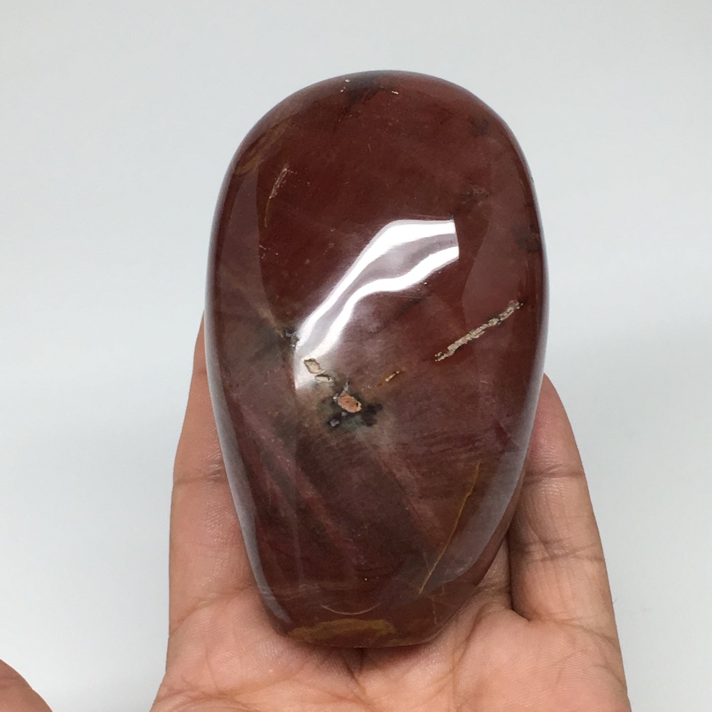 365.3g, 3.6"x2.2"x1.8" Natural Petrified Wood Freeform Polished Gemstones, B954