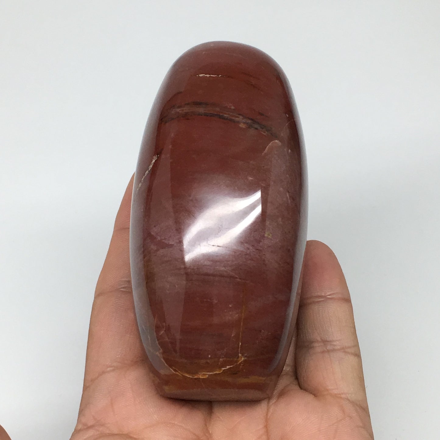 365.3g, 3.6"x2.2"x1.8" Natural Petrified Wood Freeform Polished Gemstones, B954