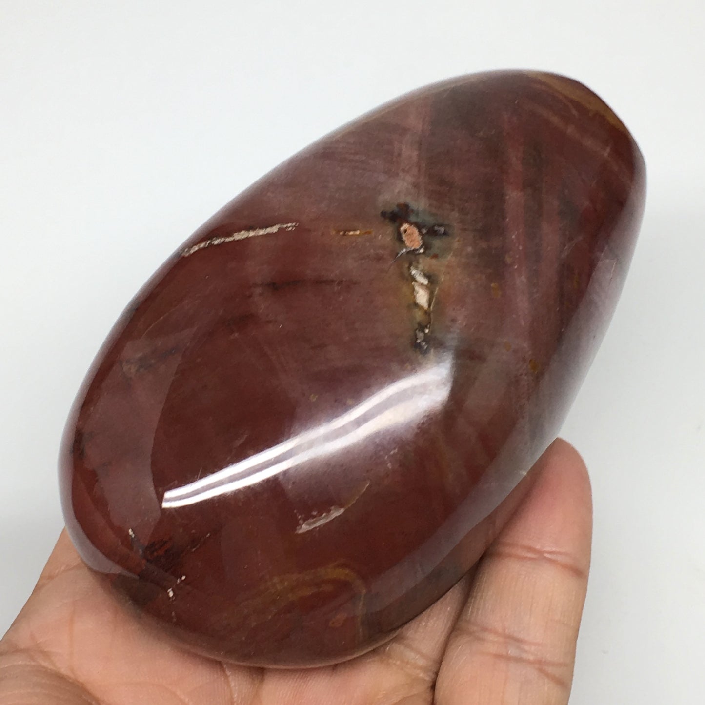 365.3g, 3.6"x2.2"x1.8" Natural Petrified Wood Freeform Polished Gemstones, B954