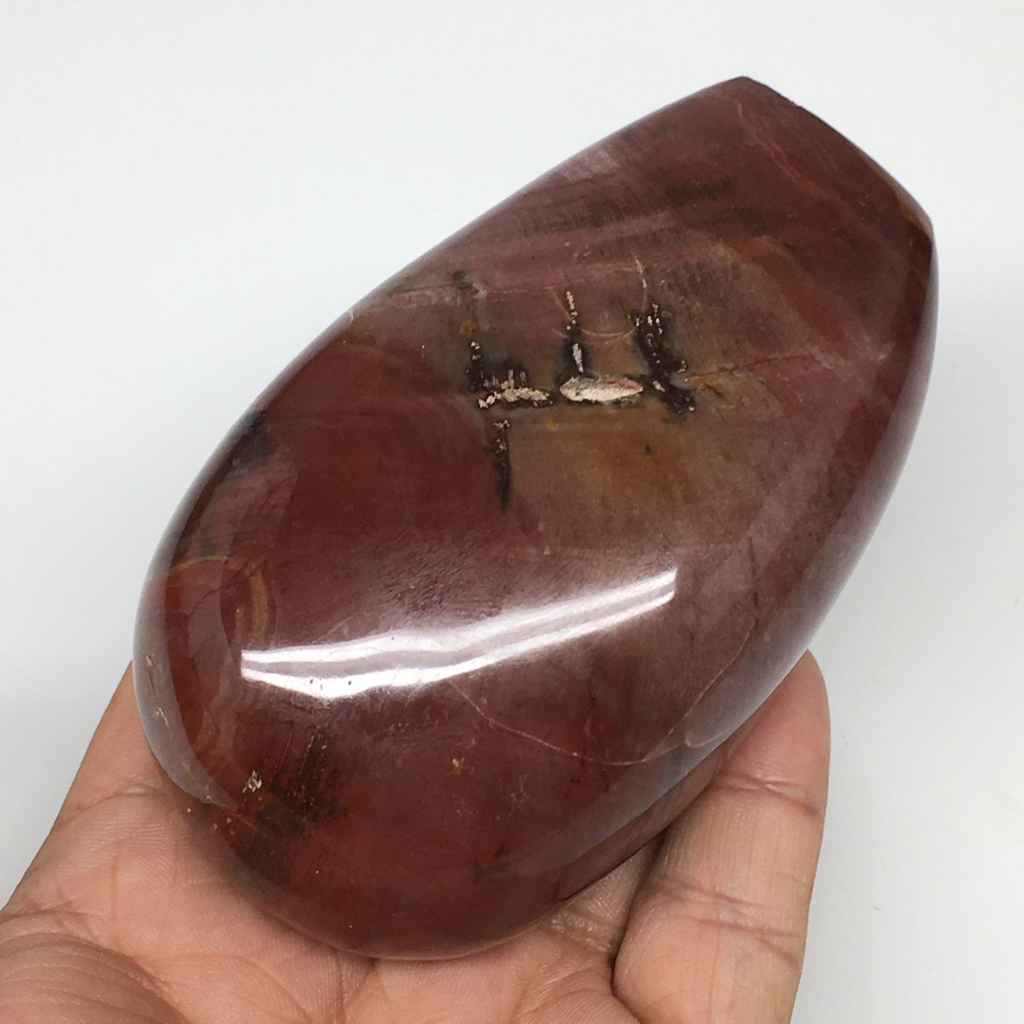 365.3g, 3.6"x2.2"x1.8" Natural Petrified Wood Freeform Polished Gemstones, B954