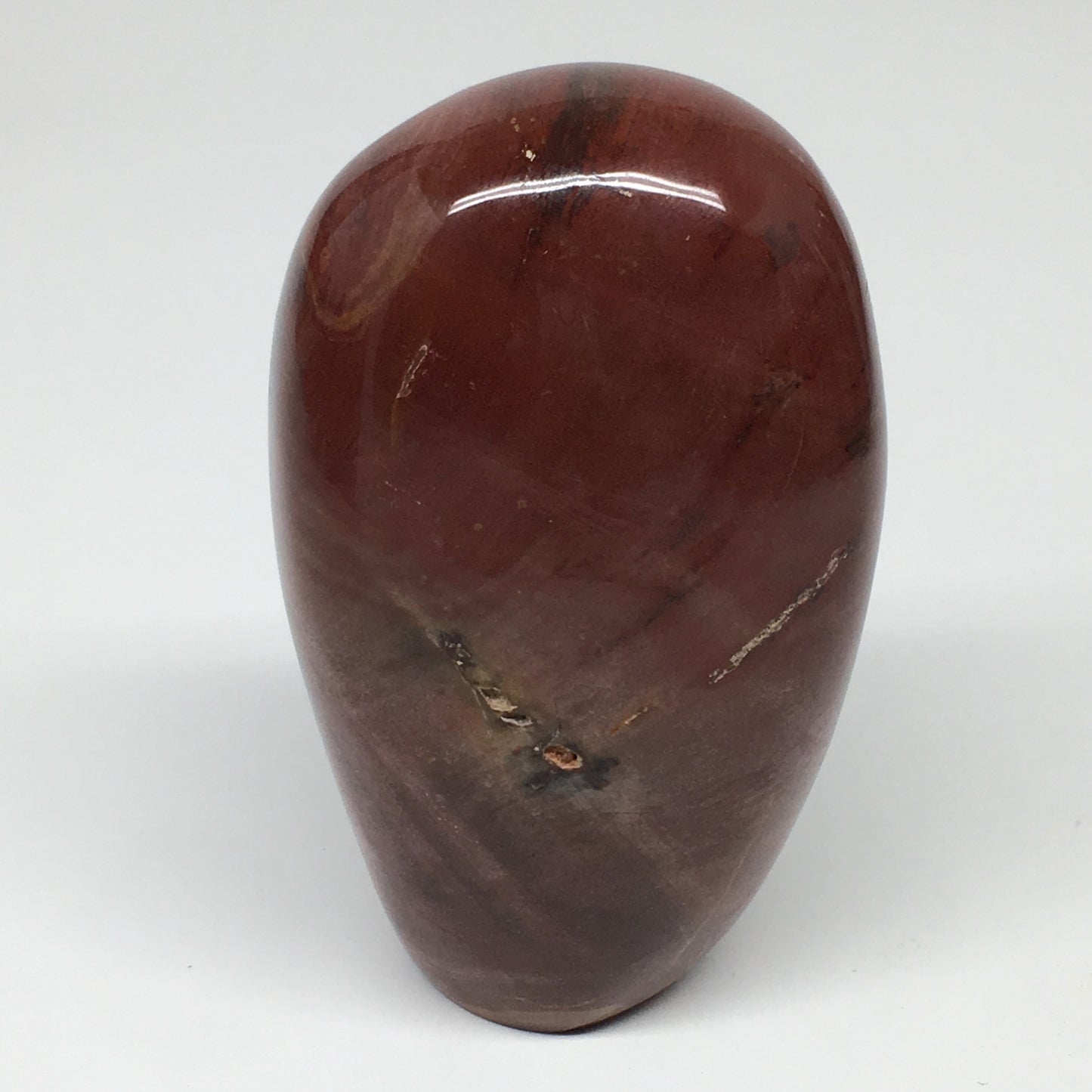 365.3g, 3.6"x2.2"x1.8" Natural Petrified Wood Freeform Polished Gemstones, B954