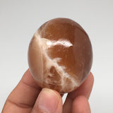 137.9g, 2"x1.7" Honey Color Onyx Polished Small Eggs from Morocco, MF3390