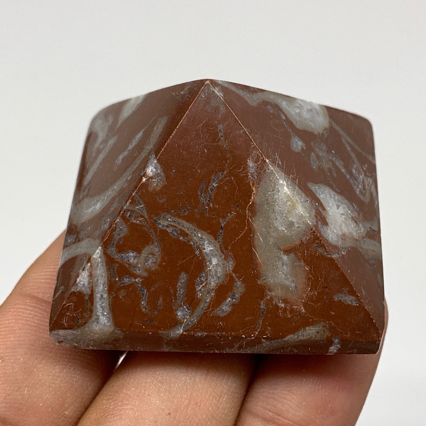 59.4g,1.1"x1.6" Natural Untreated Red Shell Fossils Pyramid Reiki Energy, F1211
