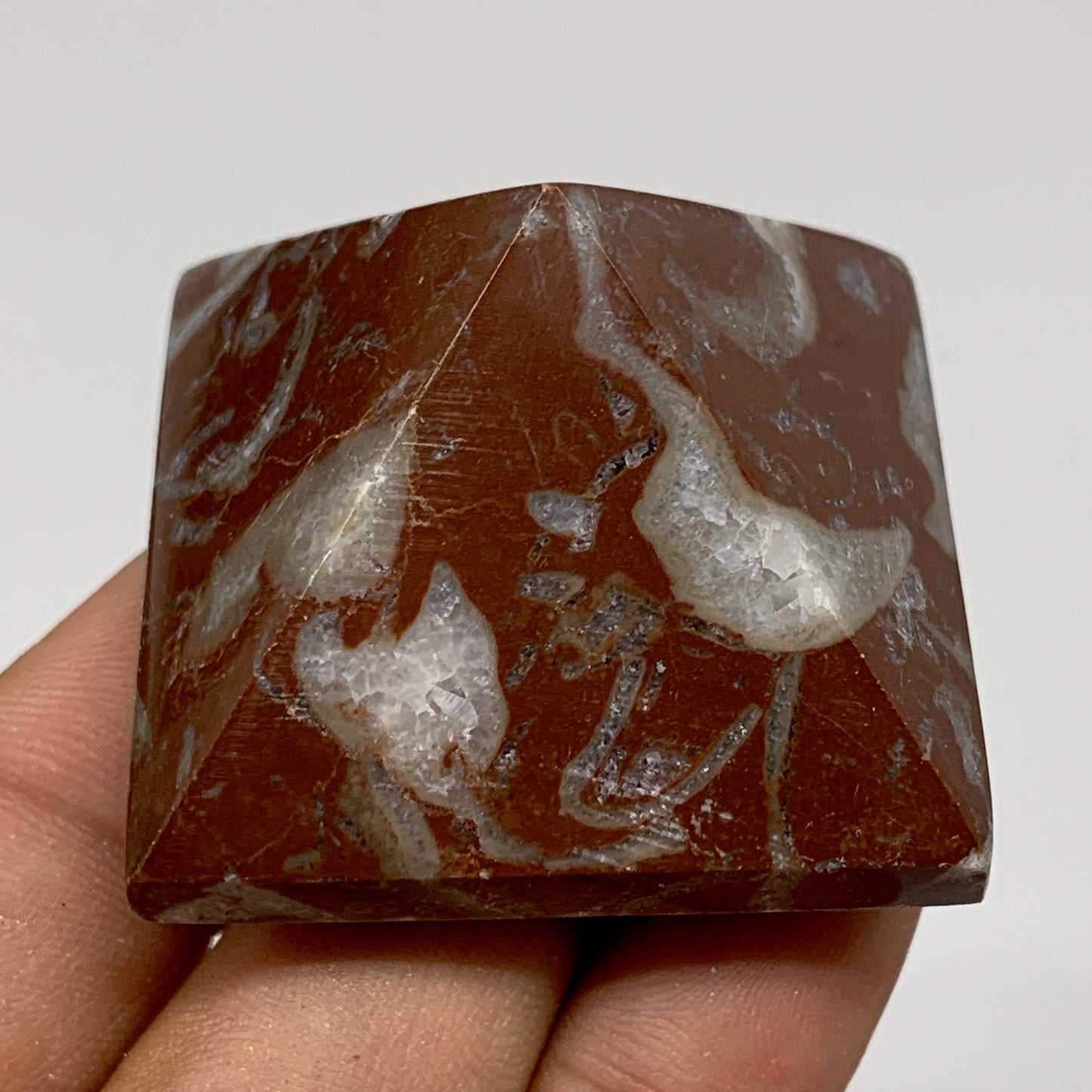 59.4g,1.1"x1.6" Natural Untreated Red Shell Fossils Pyramid Reiki Energy, F1211