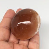 137.9g, 2"x1.7" Honey Color Onyx Polished Small Eggs from Morocco, MF3390