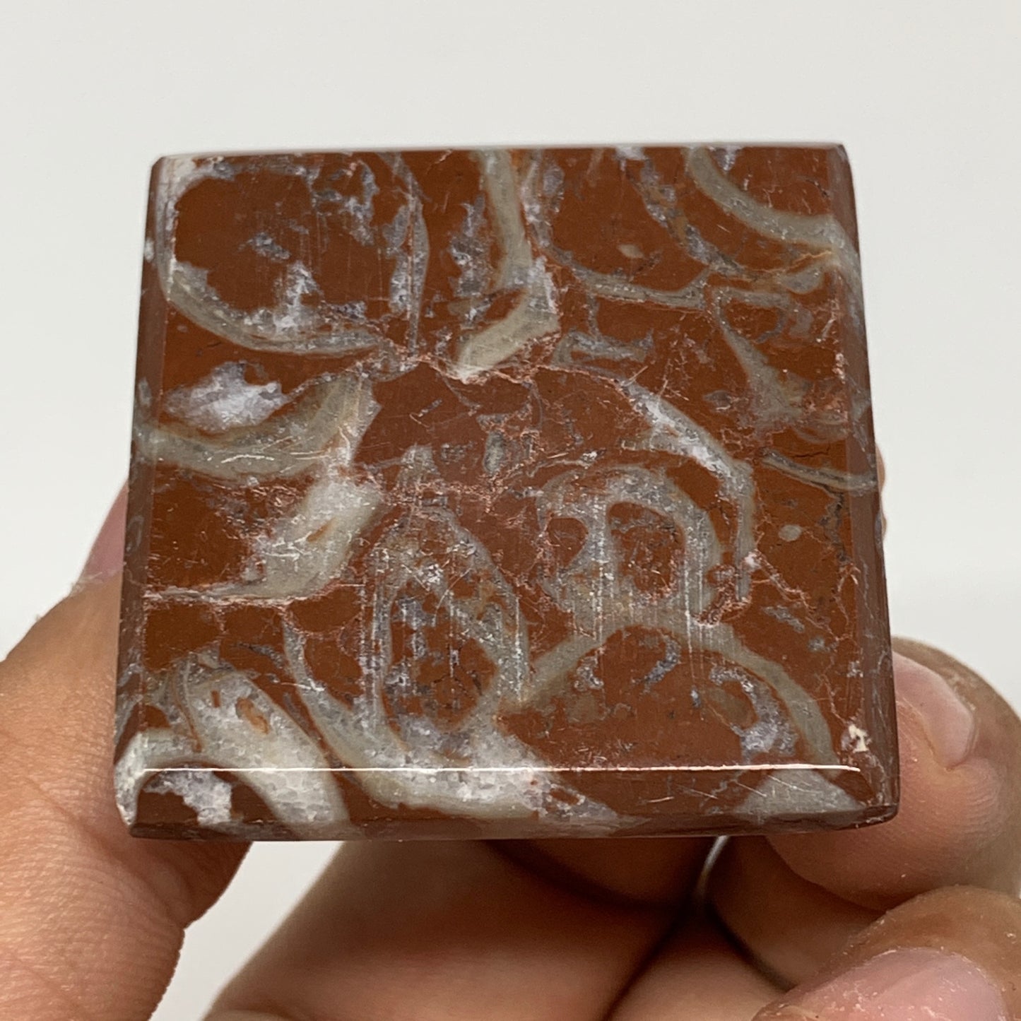 59.4g,1.1"x1.6" Natural Untreated Red Shell Fossils Pyramid Reiki Energy, F1211