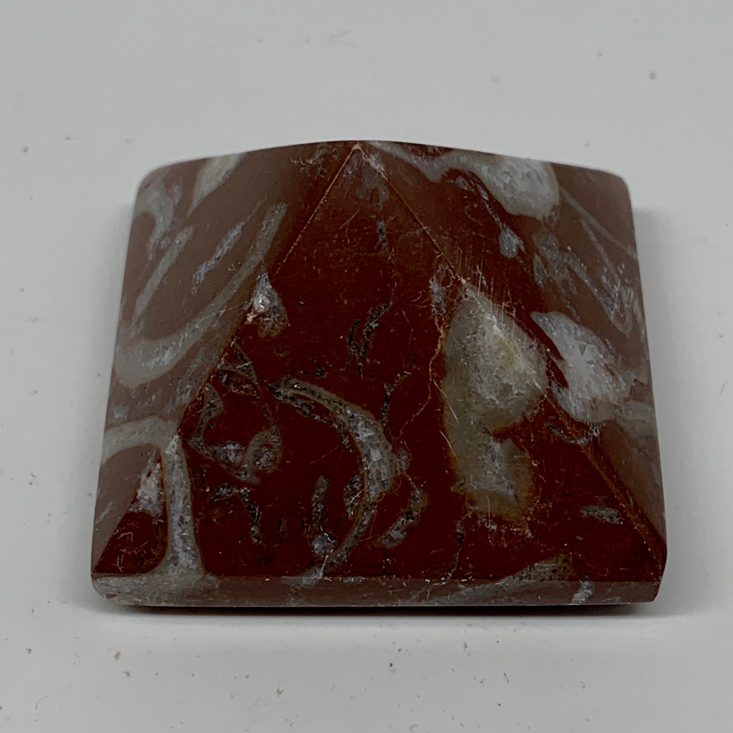 59.4g,1.1"x1.6" Natural Untreated Red Shell Fossils Pyramid Reiki Energy, F1211