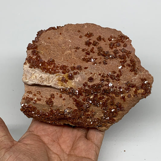 918g, 5.1"x4.6"x2.1", Vanadinite Small Crystals Cluster Mineral Specimens, B1113