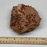 918g, 5.1"x4.6"x2.1", Vanadinite Small Crystals Cluster Mineral Specimens, B1113