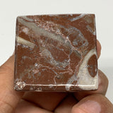 57.3g,1.2"x1.6" Natural Untreated Red Shell Fossils Pyramid Reiki Energy, F1214