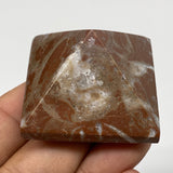 52.7g,1"x1.6" Natural Untreated Red Shell Fossils Pyramid Reiki Energy, F1215
