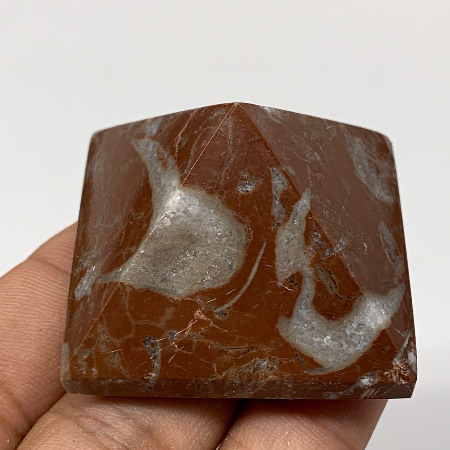 59.8g,1.2"x1.6" Natural Untreated Red Shell Fossils Pyramid Reiki Energy, F1216