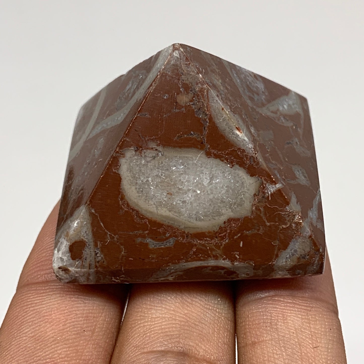 54.8g,1.2"x1.5" Natural Untreated Red Shell Fossils Pyramid Reiki Energy, F1219