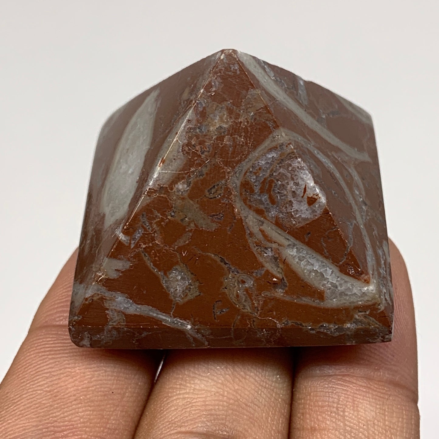 54.8g,1.2"x1.5" Natural Untreated Red Shell Fossils Pyramid Reiki Energy, F1219