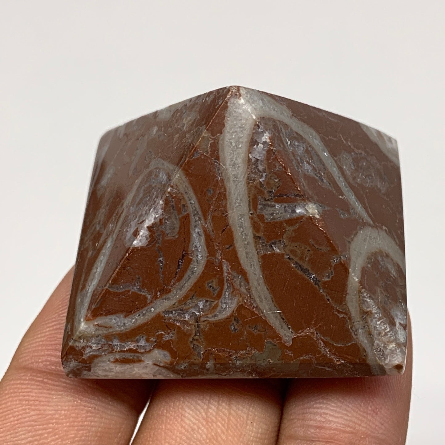 54.8g,1.2"x1.5" Natural Untreated Red Shell Fossils Pyramid Reiki Energy, F1219