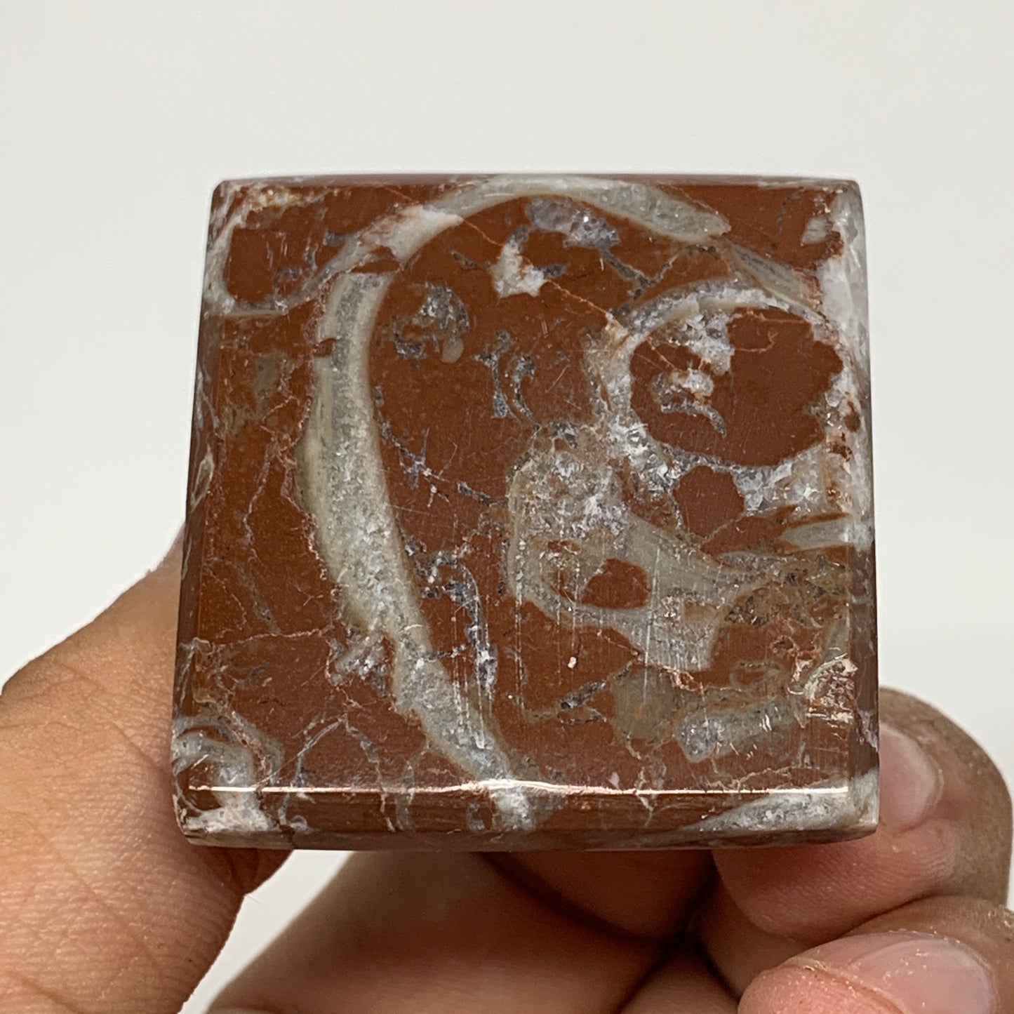 54.8g,1.2"x1.5" Natural Untreated Red Shell Fossils Pyramid Reiki Energy, F1219