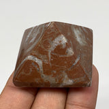 52.1g,1.1"x1.6" Natural Untreated Red Shell Fossils Pyramid Reiki Energy, F1220