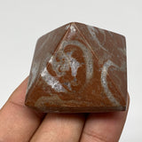 52.1g,1.1"x1.6" Natural Untreated Red Shell Fossils Pyramid Reiki Energy, F1220