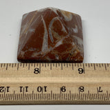58.5g,1.1"x1.6" Natural Untreated Red Shell Fossils Pyramid Reiki Energy, F1221