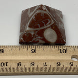 58.5g,1.2"x1.6" Natural Untreated Red Shell Fossils Pyramid Reiki Energy, F1227
