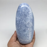 810g,5.6"x2.6"x2.1" Blue Calcite Polished Freeform Stands @Madagascar,MSP1022