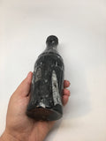 7.5" x 2.4" Black Fossils Orthoceras Coke Bottle Hand Carved Shiny Polish,MF1181