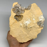 3.73 lbs, 7.25"x6"x3.4", Natural Calcite Geode Mineral Specimens @Morocco, B1119