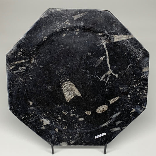 2pcs set, 12" Large Octagon Shape Fossils Orthoceras Plates Black @Morocco, F257
