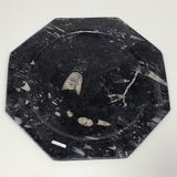 2pcs set, 12" Large Octagon Shape Fossils Orthoceras Plates Black @Morocco, F257