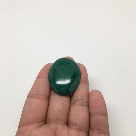 18.7 Grams Oval Shape Natural Green Malachite Cabochon Flat Bottom @Congo,E01 - watangem.com