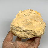 3.44 lbs, 6.6"x4.1"x3.7", Natural Calcite Geode Mineral Specimens @Morocco, B111