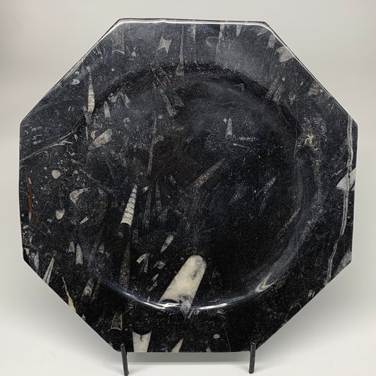 2pcs set, 12" Large Octagon Shape Fossils Orthoceras Plates Black @Morocco, F253