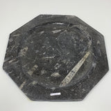 2pcs set, 12" Large Octagon Shape Fossils Orthoceras Plates Black @Morocco, F253